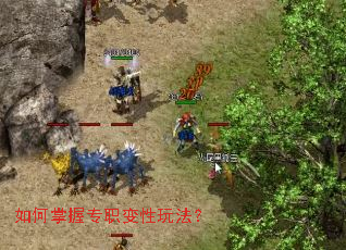 �������רְ�����淨��