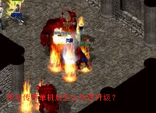 �������浥������ô����������