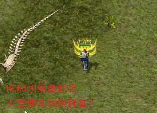 HERO�������������ýű�����޸���