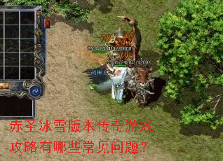 赤圣冰雪版本传奇游戏攻略有哪些常见问题? 赤圣冰雪版本传奇游戏攻略有哪些常见问题?