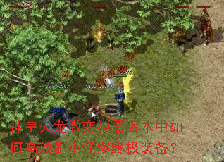 神皇火龙微变神器版本中如何高效刷小怪爆终极装备? 神皇火龙微变神器版本中如何高效刷小怪爆终极装备?