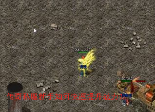 ����˽��������ο�������ս����