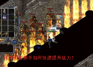 ����˽��������ο�������ս����