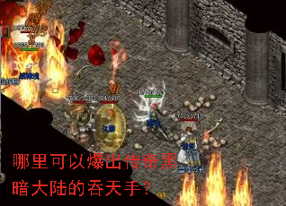 哪里可以爆出传奇黑暗大陆的吞天手? 哪里可以爆出传奇黑暗大陆的吞天手?