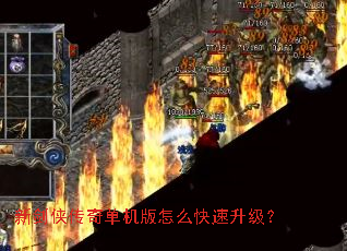 �½������浥������ô����������