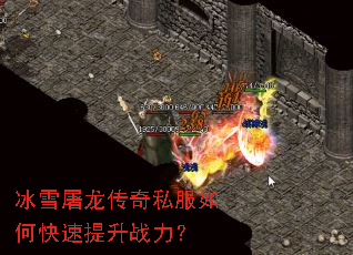 ��ѩ��������˽����ο�������ս����