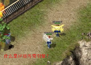 ʲô��IP�洫�����棿