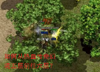 ��δ���Ѫ����þ����ǰ�����㣿