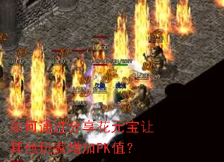 如何通过分享花元宝让其他玩家增加PK值? 如何通过分享花元宝让其他玩家增加PK值?