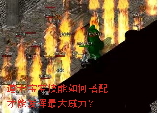 道士宝宝技能如何搭配才能发挥最大威力? 道士宝宝技能如何搭配才能发挥最大威力?