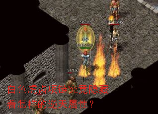 白色虎齿项链究竟隐藏着怎样的逆天属性? 白色虎齿项链究竟隐藏着怎样的逆天属性?