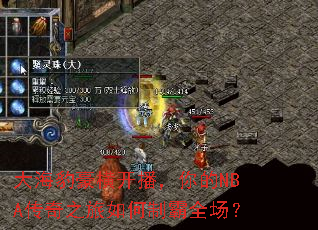 大海豹豪横开播,你的NBA传奇之旅如何制霸全场? 大海豹豪横开播,你的NBA传奇之旅如何制霸全场?