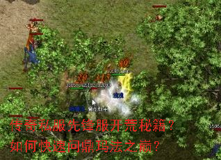传奇私服先锋服开荒秘籍?如何快速问鼎玛法之巅? 传奇私服先锋服开荒秘籍?如何快速问鼎玛法之巅?
