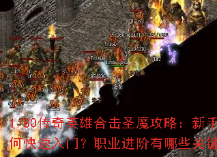 1.80����Ӣ�ۺϻ�ʥħ���ԣ�������ο������ţ�ְҵ��������Щ�ؼ����ɣ�