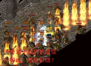 ����������ο��������ȼ�������Ⱥ�ۣ�