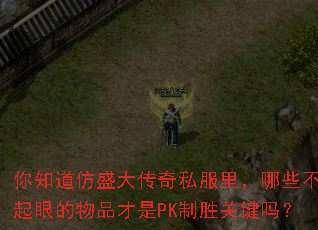 你知道仿盛大传奇私服里,哪些不起眼的物品才是PK制胜关键吗? 你知道仿盛大传奇私服里,哪些不起眼的物品才是PK制胜关键吗?