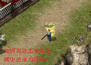 如何有效击败魔龙城中的强力怪物? 如何有效击败魔龙城中的强力怪物?