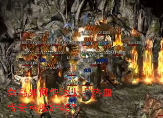 ������ο���������Ѫ����˽��SF45��