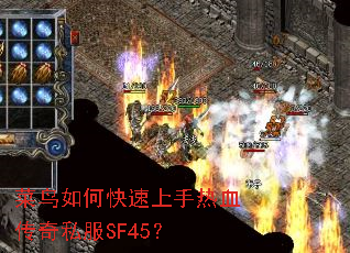 ������ο���������Ѫ����˽��SF45��