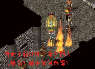 ��������SF�ĸ�������������ߣ��������ѡ��