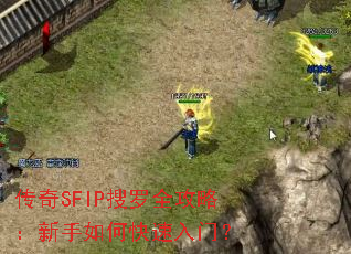 ����SFIP����ȫ���ԣ�������ο������ţ�