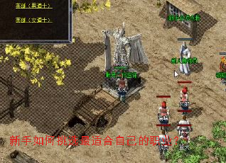 ���������ѡ���ʺ��Լ���ְҵ��