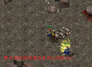 ���������ѡ���ʺ��Լ���ְҵ��