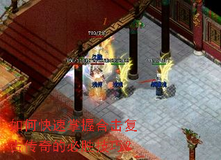 ��ο������պϻ����Ŵ���ı�ʤ���ɣ�