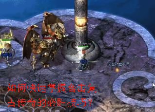 ��ο������պϻ����Ŵ���ı�ʤ���ɣ�