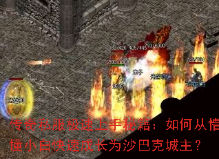 ����˽�����������ؼ�����δ��¶�С�׿��ٳɳ�Ϊɳ�Ϳ˳�����