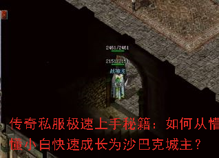 ����˽�����������ؼ�����δ��¶�С�׿��ٳɳ�Ϊɳ�Ϳ˳�����