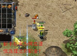 新手玩家为何应谨慎选择法师职业? 新手玩家为何应谨慎选择法师职业?