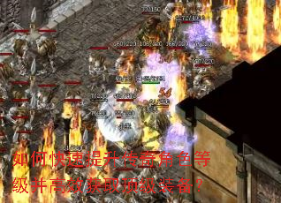 ��ο������������ɫ�ȼ�����Ч��ȡ����װ����