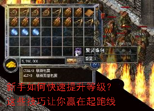 新手如何快速提升等级?这些技巧让你赢在起跑线 新手如何快速提升等级?这些技巧让你赢在起跑线