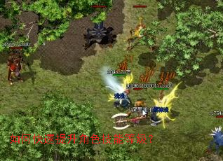 ��ο���������ɫ���ܵȼ���