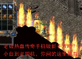 �ϰ���Ѫ�����ֻ������ֹ��ԣ���С�׵���˾�������ʵ����ﶼ��