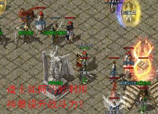 道士如何巧妙利用神兽提升战斗力? 道士如何巧妙利用神兽提升战斗力?