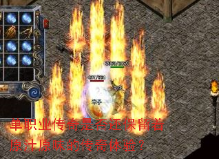 ��ְҵ�����Ƿ񻹱�����ԭ֭ԭζ�Ĵ������飿