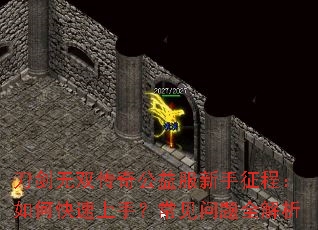 ������˫���湫����������̣���ο������֣���������ȫ����