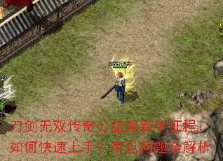 ������˫���湫����������̣���ο������֣���������ȫ����