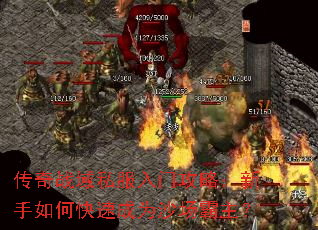 传奇战域私服入门攻略:新手如何快速成为沙场霸主? 传奇战域私服入门攻略:新手如何快速成为沙场霸主?