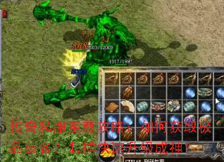 ����˽�������ԣ���λ�ȡ��Ʒװ��������������������