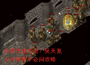 ��ο��ٳ弶����츴�Ŵ������ֱ��ʹ���