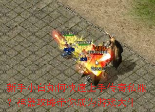 ����С����ο������ִ���˽�����������Դ����Ϊ��Ϸ��ţ