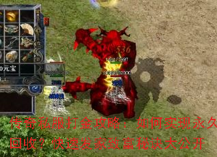 传奇私服打金攻略:如何实现永久回收?快速发家致富秘诀大公开 传奇私服打金攻略:如何实现永久回收?快速发家致富秘诀大公开