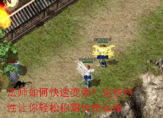 ��ʦ��ο��ٱ�ǿ����Щ�����������ɳưԴ���˽��