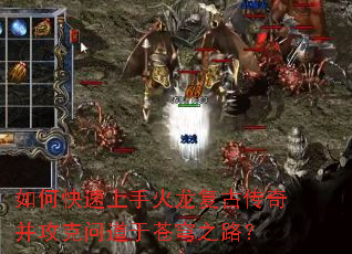 ��ο������ֻ������Ŵ��沢�����ʵ��ڲ��֮·��