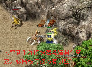 传奇新手如何快速烧猪洞?高效升级路线与技巧有哪些? 传奇新手如何快速烧猪洞?高效升级路线与技巧有哪些?