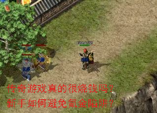 ������Ϸ��ĺ���Ǯ��������α���봽����壿