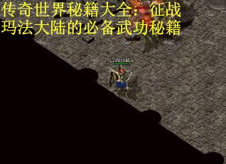 传奇世界秘籍大全：征战玛法大陆的必备武功秘籍